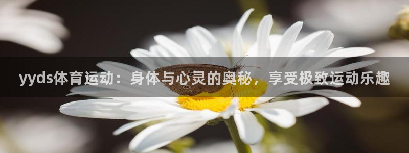 捷豹体育比分：yyds体育运动：身体与心灵的奥秘，享受极致运动乐趣
