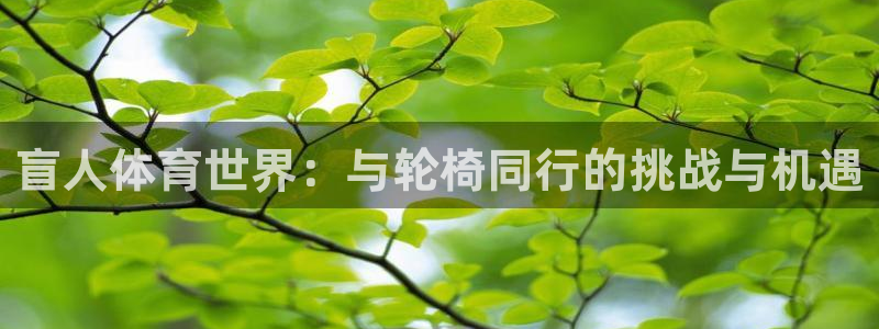 捷豹体育app官方下载：盲人体育世界：与轮椅同行的挑战与机遇