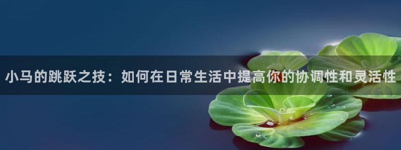 捷豹体育能赢钱么：小马的跳跃之技：如何在日常生活中提高你的协调性和灵活性